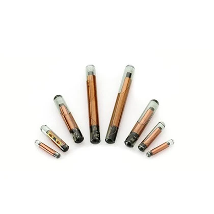 Micro Chips Rau Cov dev